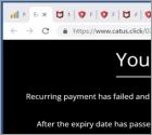 Estafa POP-UP "McAfee - Your Card Payment Has Failed!"