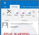 Estafa por correo electrónico "Final Warning"