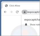 Anuncios "Expocaptcha.top"