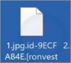 Ransomware "R0n"