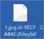 Ransomware "Nlb"
