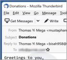Estafa por correo electrónico "Donation From Lottery Winner"