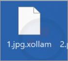 Ransomware "Xollam"