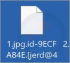 Ransomware "Jerd"