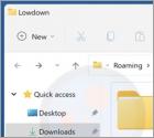 Adware "Lowdown"