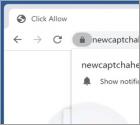 Anuncios de Newcaptchahere.top