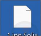 Ransomware "Solix"