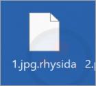 Ransomware "Rhysida"