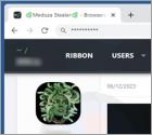 Stealer "Meduza"