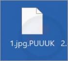 Ransomware "BIDON"