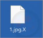 Ransomware "X"