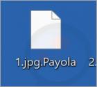 Ransomware "Payola"
