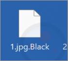 Ransomware "Black Berserk"