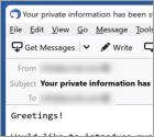 Estafa por correo electrónico "Specialized Hacker Succeeded In Hacking Your Operating System"