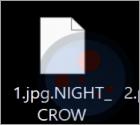 Ransomware "NIGHT CROW"