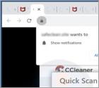 Estafa emergente "CCleaner Total Protection"
