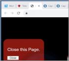 Estafa emergente "Our Security Scans Have Detected Potential Vulnerabilities"