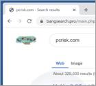 Redireccionamiento de bangsearch.pro