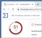 Malware "Agent Racoon"