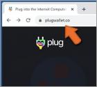 Estafa "Plug Wallet"