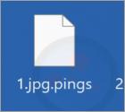Ransomware "Pings"