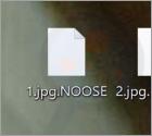Ransomware "NOOSE"