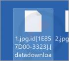 Ransomware "Ebaka"