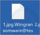 Ransomware "Wing"