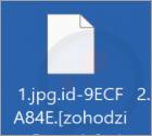 Ransomware "Z1n"