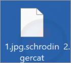 Ransomware "SchrodingerCat"