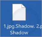 Shadow (Ran_jr_som) Ransomware