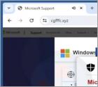 Estafa de ventana emergentes Microsoft Detected A Unusual Application In Your System