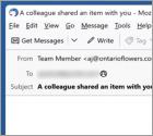 Estafa por correo electrónico A Team Member Shared An Item