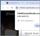 Nnoomm.co.in Anuncios