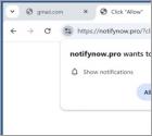 Notifynow.pro Anuncios