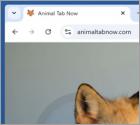 Redirección de animaltabnow.com