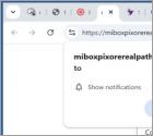 Miboxpixorerealpath.com Anuncios