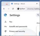 EpiStart (EpiBrowser) Aplicación no deseada
