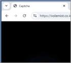 Volemist.co.in Anuncios
