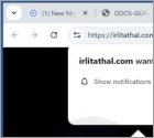 Irlitathal.com Anuncios