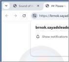 Sayadsleads.top Anuncios