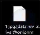 Data Ransomware