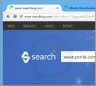 www-searching.com se carga automáticamente