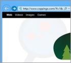 Redireccionamiento a Coppingo.com