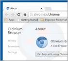 Software publicitario Olcinium Browser