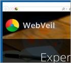 Software publicitario y navegador WebVeil