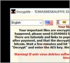 Secuestrador de sistemas EncrypTile