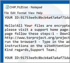 Virus encriptador CHIP