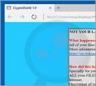 Virus encriptador CryptoShield