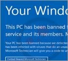 Estafa Your Windows Has Been Banned